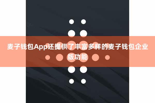 麦子钱包App还提供了丰富多样的麦子钱包企业版功能