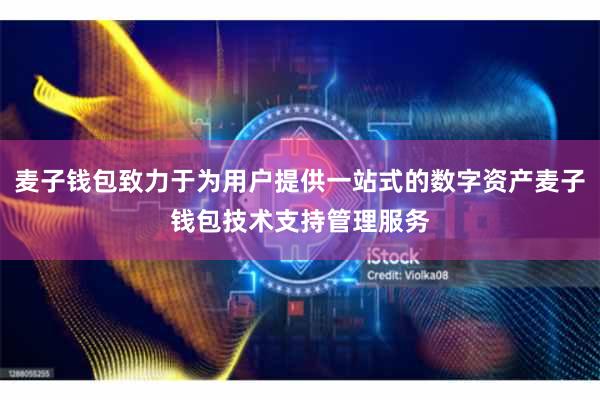 麦子钱包致力于为用户提供一站式的数字资产麦子钱包技术支持管理服务
