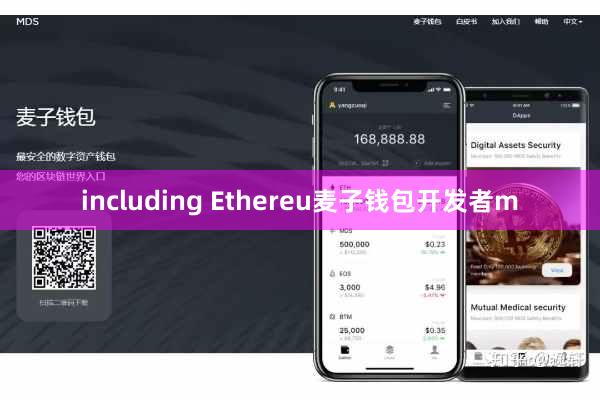 including Ethereu麦子钱包开发者m