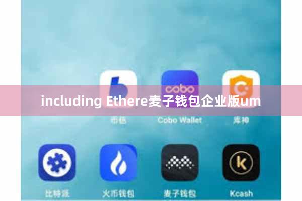 including Ethere麦子钱包企业版um