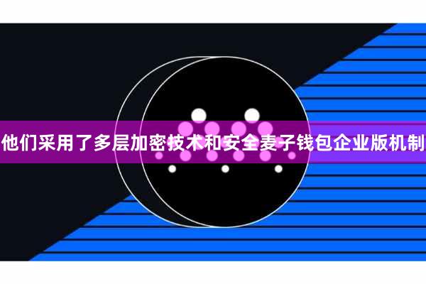 他们采用了多层加密技术和安全麦子钱包企业版机制
