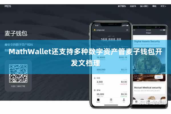 MathWallet还支持多种数字资产管麦子钱包开发文档理